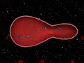 Riproduzione cellula Riproduzione cellula