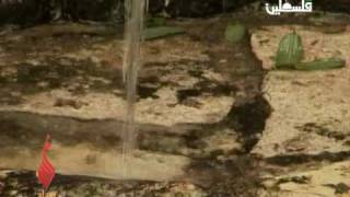 حكاية بلد قرية عسفيا