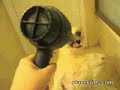 dog vs blowdryer