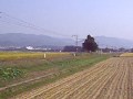 SL磐越会津路号