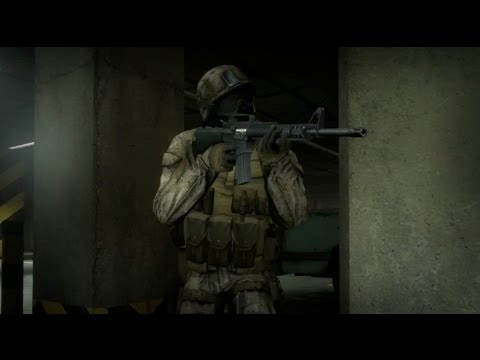 Insurgency