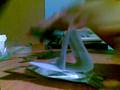 (uploaded by dealerextremist)&nbsp;iPod earpiece