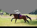 examen galop ucpa st medard examen galop ucpa st medard