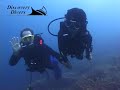 Discovery and Reaf Dive Coron Island Philippines