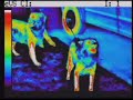 ptz thermal FLIR imaging camera for tactical fixed & mobile ptz thermal FLIR imaging camera for tactical fixed & mobile