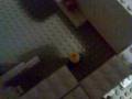 Iam watching you pee!.3gp