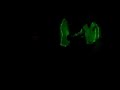 DIscopolis Live - Blegium 2005
