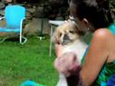 The Cute Thing