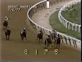 Alydar vs. Affirmed - 1977 Great American Stakes (2nd Meeting)