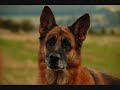 www.equus.lh.pl