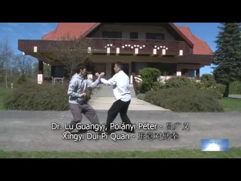 Dr. Lu Guangyi – Xing Yi Dui Pi Quan
