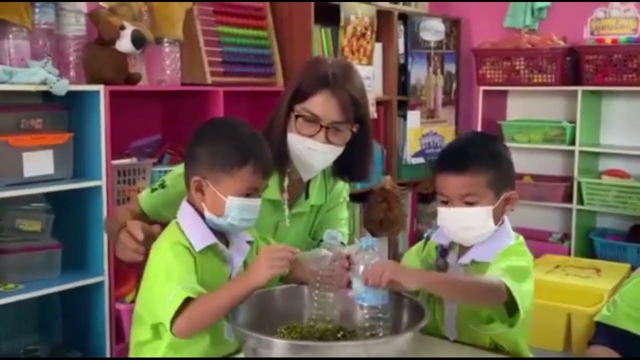 การปลูกถั่วงอกในขวดน้ำพลาสติก