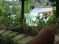 Green College 3