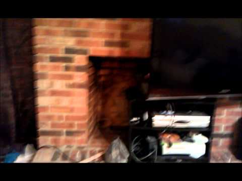 how to paint z brick