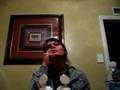 videos de Animal Guessing Game