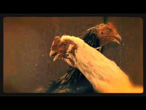 Quiero bailar contigo