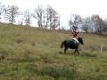 videos de Tir à l'arc à cheval, on ne réussit pas toujours