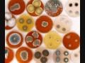 ESTAGIO MICROBIOLOGIA