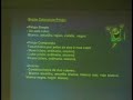 Tipos de Cuy Rmr-prigeds Tipos de Cuy Rmr-prigeds