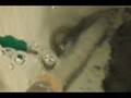 hho 4th video