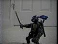 Ninja Turtle Fight