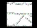 biologia molecular pcr