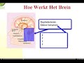 in 5 stappen van buiten blokken: niet te leren op school 5