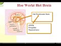 in 5 stappen van buiten blokken: niet te leren op school 5