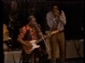 Muddy Waters Im A King Bee