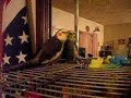 Sweet Floyd singing sweet tune Sweet Floyd singing sweet tune
