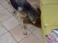 davide vs golia davide vs golia