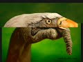 Eller ve Hayvanlar // Hands and Animals