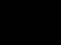 totò spaghetti