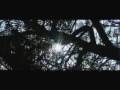 Mardecopas-Perdido