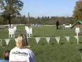 videos de Pyro BCSA Nationals Agility 2008