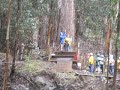 zipline skyline eco-tours