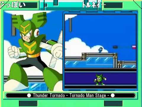 動画