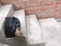 video de casa11