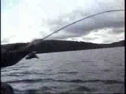 Fishing Trips: Algonquin II