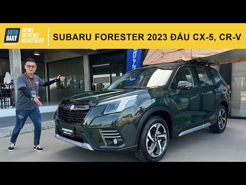 Trải nghiệm Subaru Forester 2023 giá từ 969 triệu - 