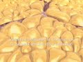 UltraShape NL animatie