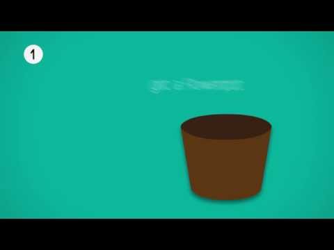 מתי ליברמן-פיילוט לסידרת רשת באנימציה מתי ליברמן-פיילוט לסידרת רשת באנימציה