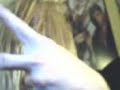 re: soulja boy tell`em   crank that  soulja boy 