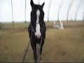 lightning and i riding while it was pouring rain. please no rude comments. i'd be happy to answer any question about lightning you have