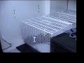 dierenambulance 3 breda