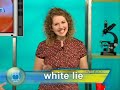 Chat Room: Ken & Andrea explain different kinds of lies