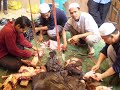 hijjaz- sunnah orang berjuang- pelita hidup 4
