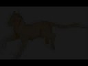 whitewing-whos-that-girl.html