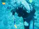 Diving El Quseir Diving El Quseir