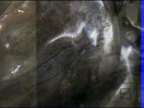 M.L. Snowden: "Starfire Polaris" ...